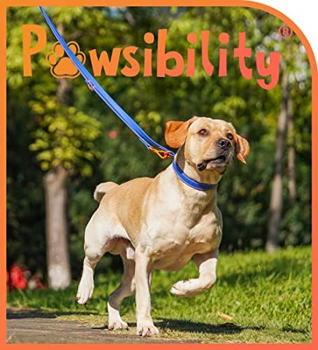Pawsibility-Köpek Tasması ve Tasma Yürüyüş Seti-Su geçirmez, Kir ve Kokuya Dayanıklı | Hızlı Kısa Tasma Ayarlı Yüksek