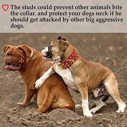 TEEMERRYCA Küçük Orta Büyük Köpekler için Altın Çıtçıtlı Geniş Deri Çivili Çivili Kırmızı Köpek Tasmaları Kız Erkek,